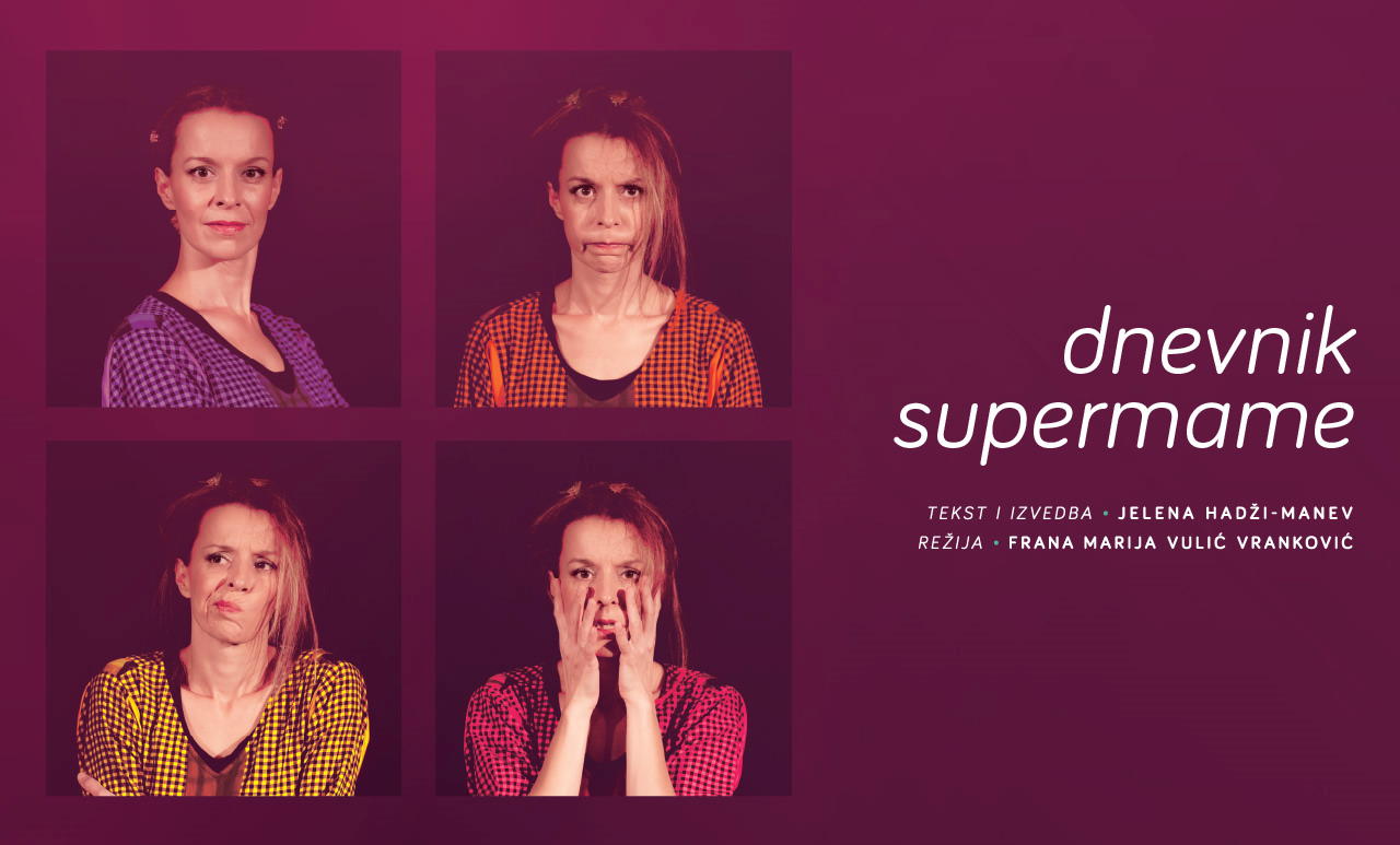 DSM-banner